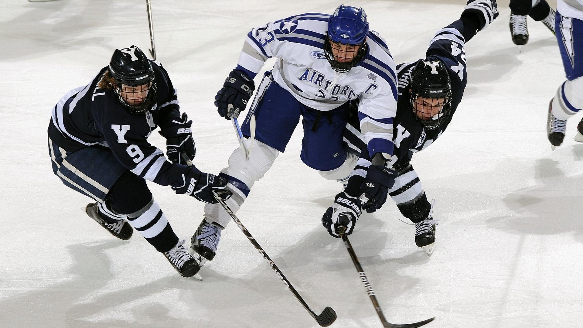 “德甲最后冲刺阶段，领跑队伍战意十足”，德甲最新一轮战报
