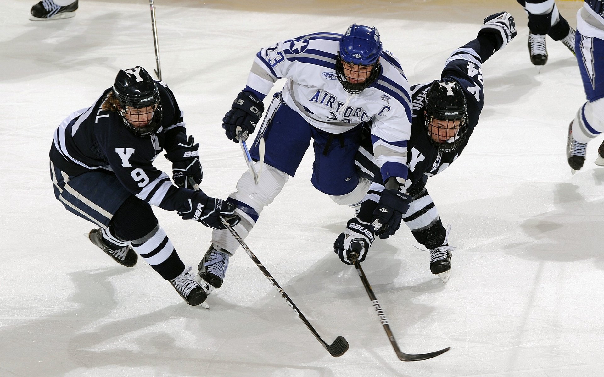 全国青少年篮协联手高校推动校企合作，打造青训新格局，青少年篮球职业联赛